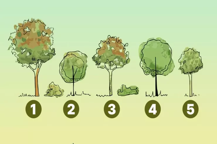 Eqoizm TESTİ:  Evinizin yaxınlığında  hansı ağacı   əkərdiniz? 