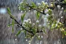 Sabah yağış  yağsa da, hava isti  olacaq - PROQNOZ 