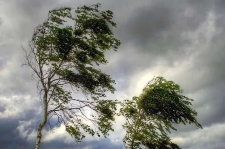 Bu rayonlar üçün külək  XƏBƏRDARLIĞI