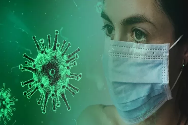 Yeni yarasa virusu  və yeni pandemiya  riski XƏBƏRDARLIĞI 