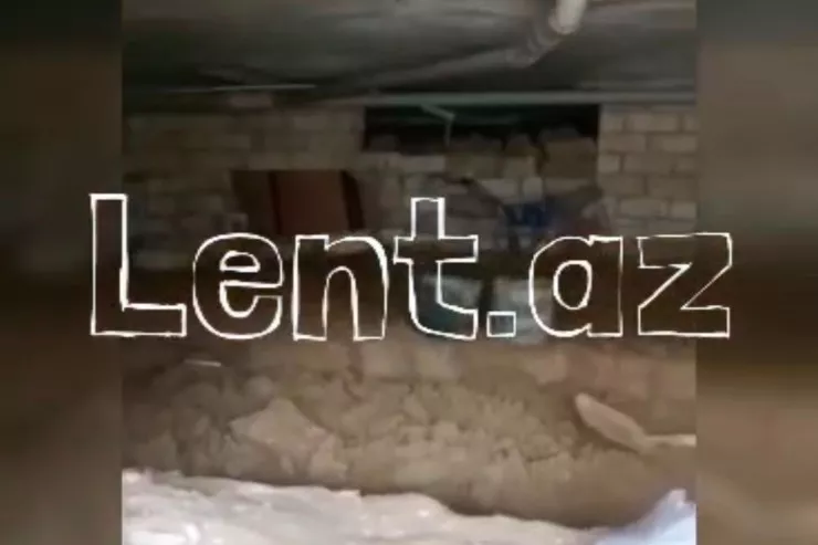 "AAAF Park"da binanın zirzəmisini qazdılar -  "Get, kimə deyirsən, de"   - VİDEO 
