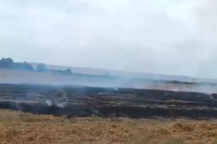 Bölgələrdə yanğına   səbəb olan 3 nəfər məsuliyyətə cəlb olunub 