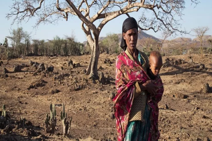 El-Nino iqlim fenomeninə görə  50 milyona yaxın insan aclıqla  üzləşə bilər