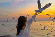 Dörd BÜRCÜN həyatı  avqustun sonuna qədər kəskin dəyişəcək 