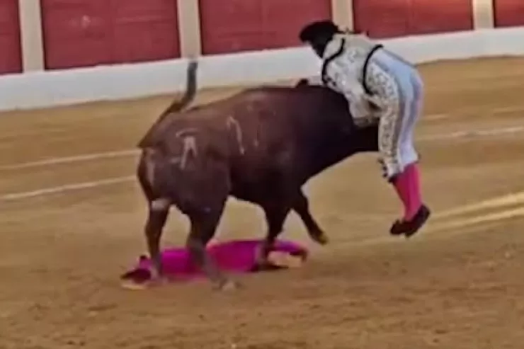 Matador bu döyüşündə unutmayacağı anlar yaşadı - DƏHŞƏTLİ GÖRÜNTÜLƏR 