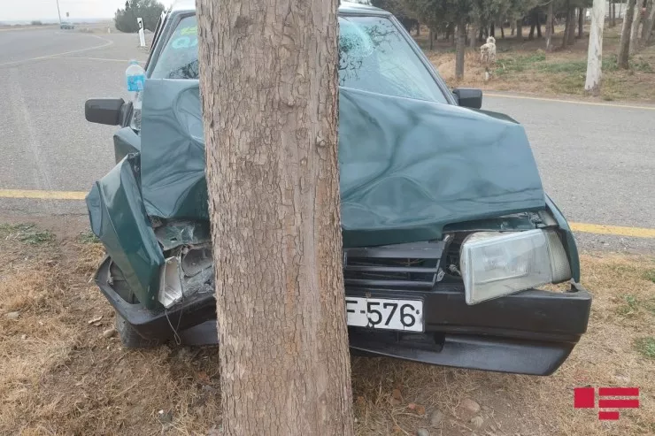 Şəmkirdə avtomobil ağaca çırpıldı , xəsarət alanlar var