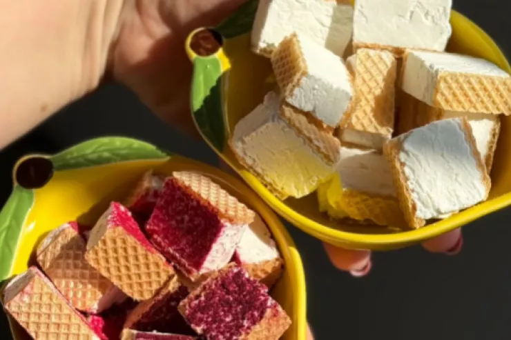 Qurudulmuş dondurmalarla bağlı  AQTA-dan AÇIQLAMA 