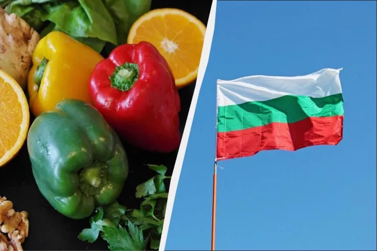 Bolqarıstandan deyil: Bolqar bibəri  niyə bu cür adlandırılıb? 