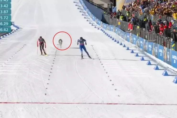 Olimpiadada qeyri-adi  HADİSƏ: Canavar yarış meydançasına  girdi