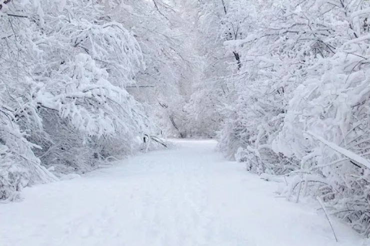 Bu rayonlara qar yağıb - FAKTİKİ HAVA 