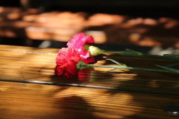 Ən çox jurnalist 2025-ci ildə ölüb - QORXUNC STATİSTİKA 