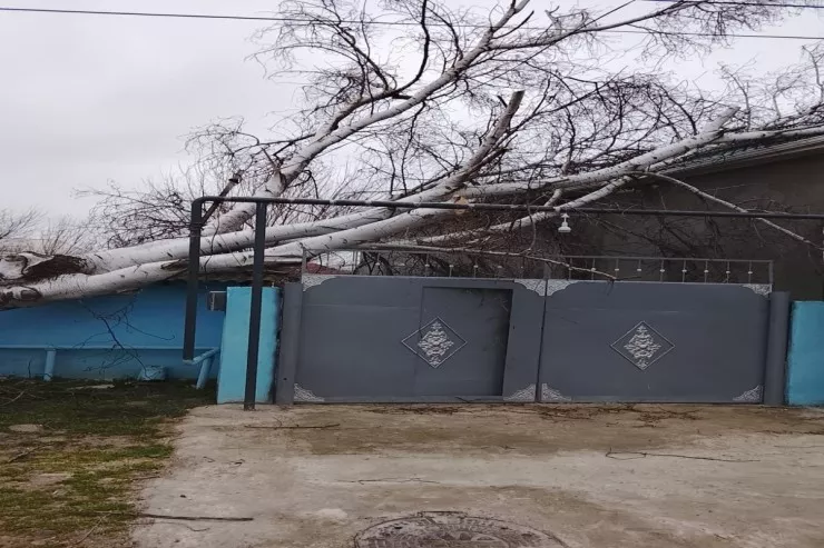 Güclü külək Biləsuvar və Cəlilabadda fəsadlar törətdi 