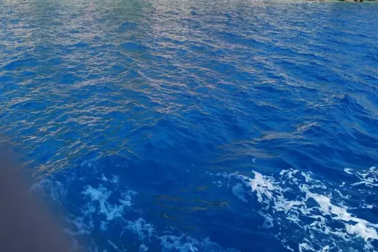 Sahilləri olmayan dəniz:  onu piyada keçmək  olar