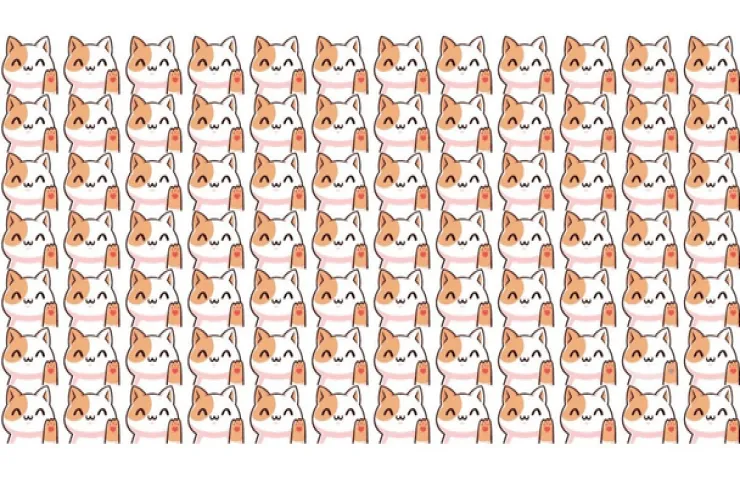 TEST:  Şəkildəki "qeyri-adi" pişiyi  9 saniyədə tapın