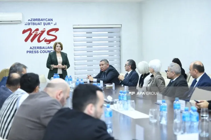"Jurnalistlər üçün treninqlər təşkil olunmalıdır" - Vüsalə Mahirqızı 