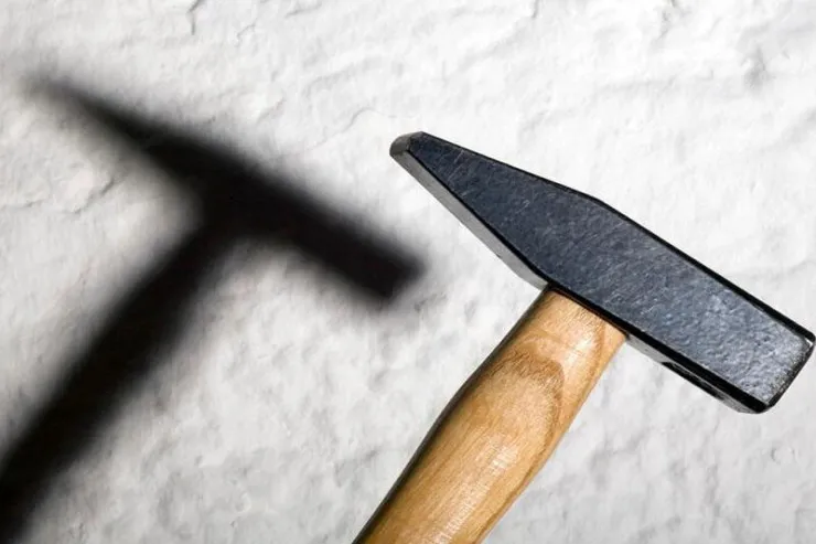 Yeni il gecəsi kişini çəkiclə  öldürüb, toyuq hinində  gizlətdi