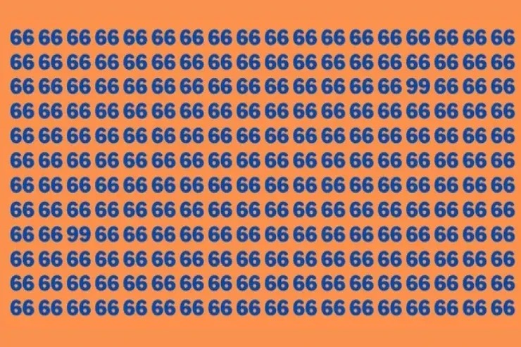 7 saniyədə "66"lar arasından iki "99"  tapın – diqqət çəkən tapmaca  