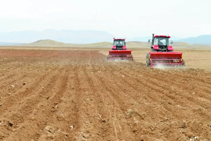 Ağdamda əkin sahəsindən  meyit tapıldı