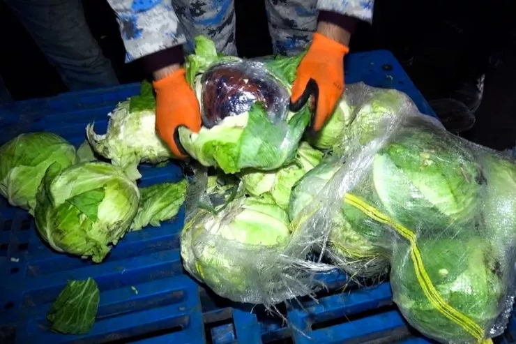 İrandan gələn kələm yükü  gömrükdə saxlanıldı - Arasına narkotik də büküblər 