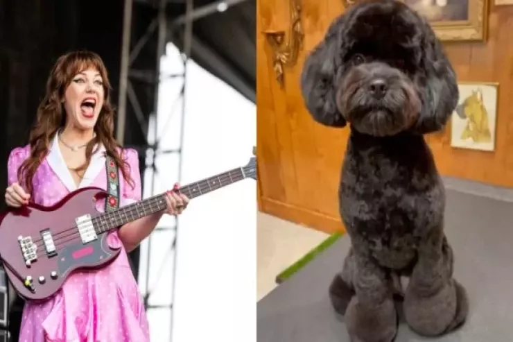 Məşhur müğənni  iti ilə evləndi  - "Toy" FOTOLARI 