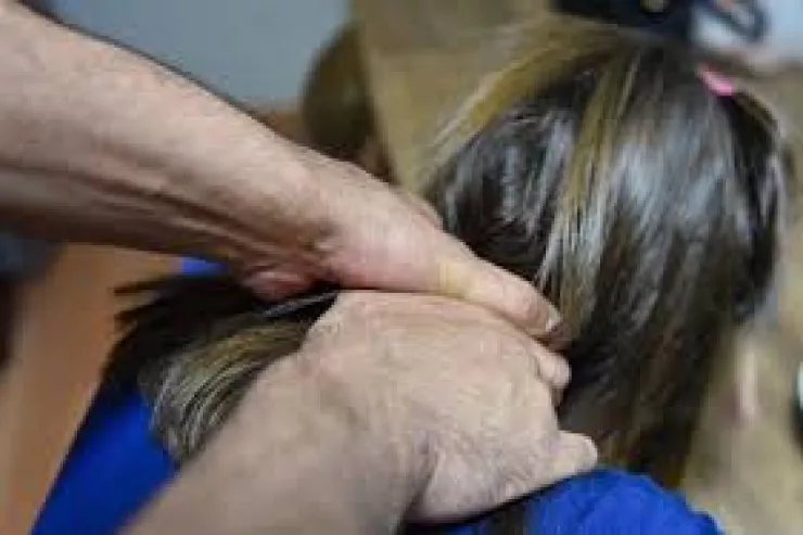 Ata 18 yaşlı qızını öldürüb  ölkədən qaçdı: faciənin TƏFƏRRÜATLARI 