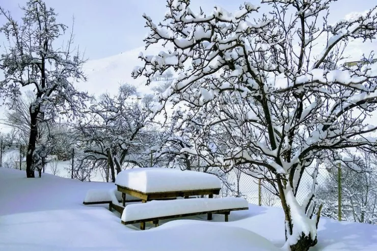 Zaqatalaya yarım metrə yaxın qar yağdı - GÜNÜN HAVASI 
