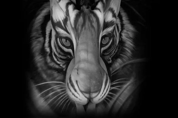 Şəkilə baxın, əslində kim olduğunuzu  öyrənin – Şəxsiyyət TESTİ 