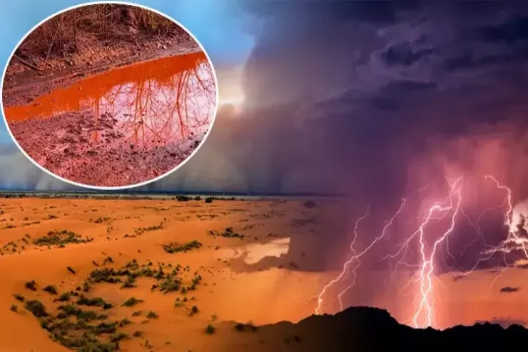Göydən qan yağır?  Küçələri qırmızıya  boyayan və bütün Avropanı təşvişə salan  sirr