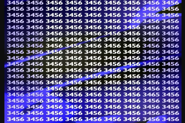 İnsanların yalnız 1 faizi "3465" rəqəmini  11 saniyədə tapa bilir: çox çətin TAPMACA 
