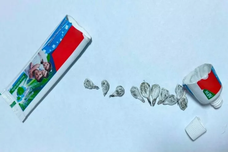 Həbsdəki qardaşına diş məcununun   içərisində narkotik gətirdi