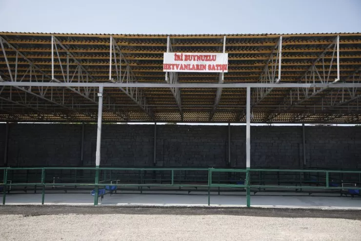 Binədə heyvan bazarı   açıldı
