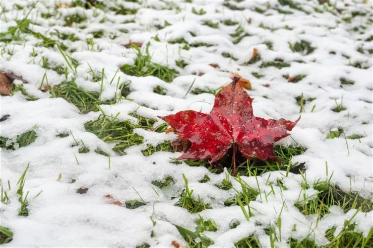Bu rayonlarda əməlli-başlı QAR YAĞIR 