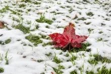 Bu rayonlarda əməlli-başlı QAR YAĞIR 