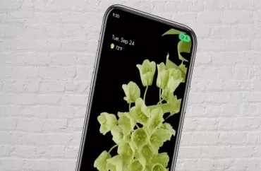 Smartfon ekranında qəfil yaşıl nöqtə  yandısa, narahat olmağa dəyərmi? 