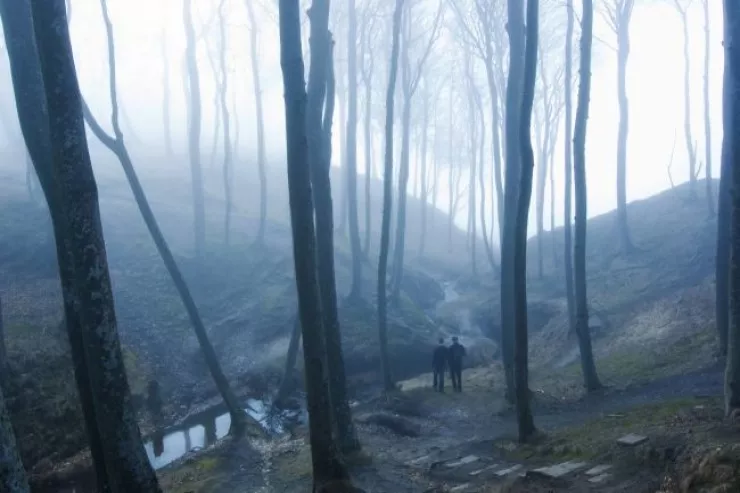 Kabuslu qalalar və lənətlənmiş adalar:  turistlər niyə qorxu və mistik əfsanələr üçün pul ödəyirlər? 