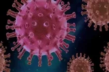 Ən böyük pandemiyalara  səbəb olan virusların  necə dəyişdiyi AÇIQLANDI 