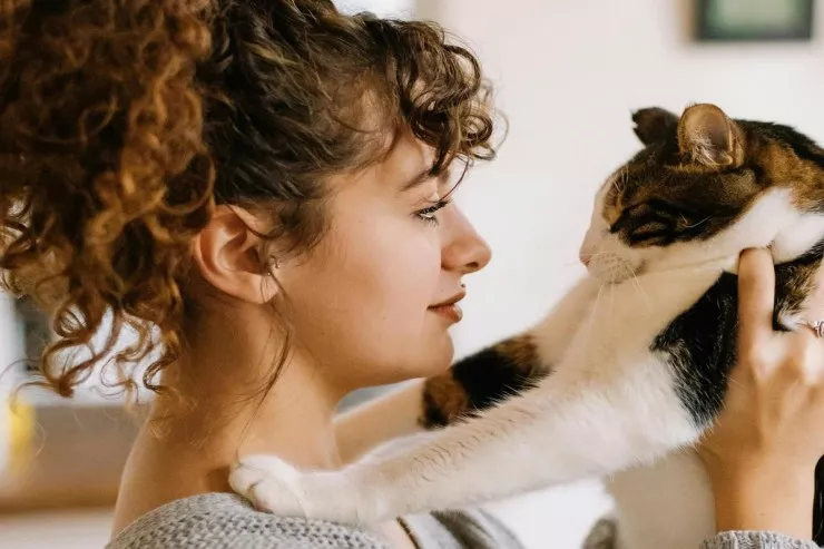 Pişikləri sevən insanların qeyri-adi 8 xüsusiyyəti 