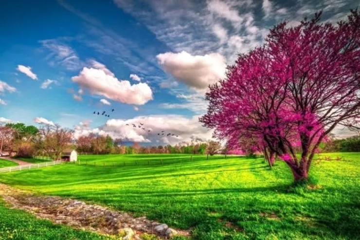 Sabah 20 dərəcə isti  olacaq - hava PROQNOZU 