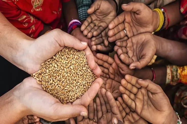 Fitrə zəkatının miqdarı nə qədərdi?  - CAVAB