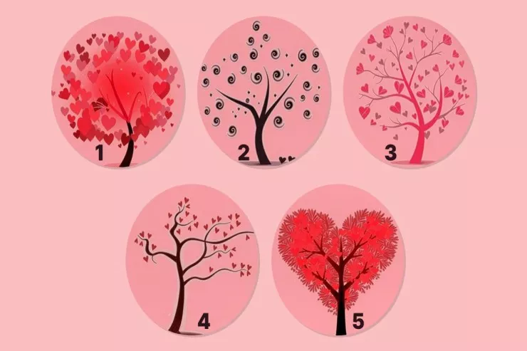 Siz xeyirxah  insansınız - Hansı ağacı  seçərdiniz? Psixoloji TEST 