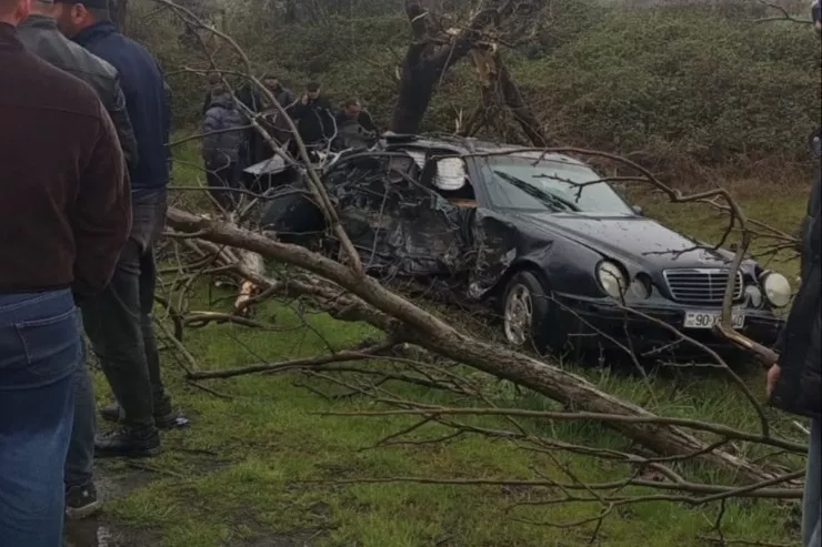 Zaqatalada AĞIR QƏZA:  ölən və yaralılar var - VİDEO 
