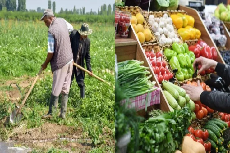 Kəndli ucuz   satmaqdan, şəhərli baha   almaqdan narazıdır - 3 qat qiymət fərqi
