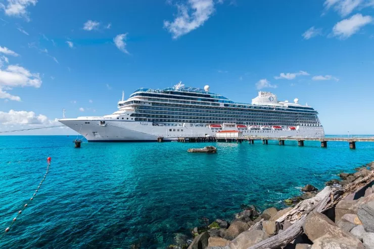 “Caribbean Princess” gəmisində 100-dən çox insan  norovirusa yoluxdu