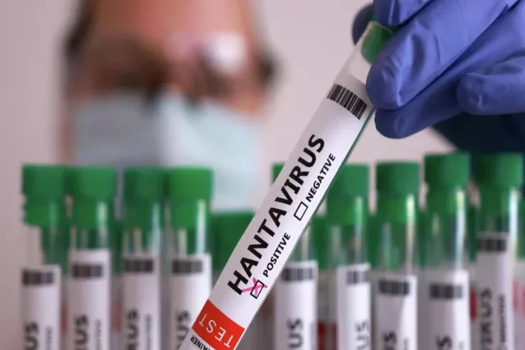 Daha iki ölkədə Hantavirus  aşkarlandı