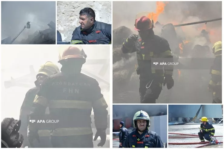 DANIŞAN ŞƏKİLLƏR 