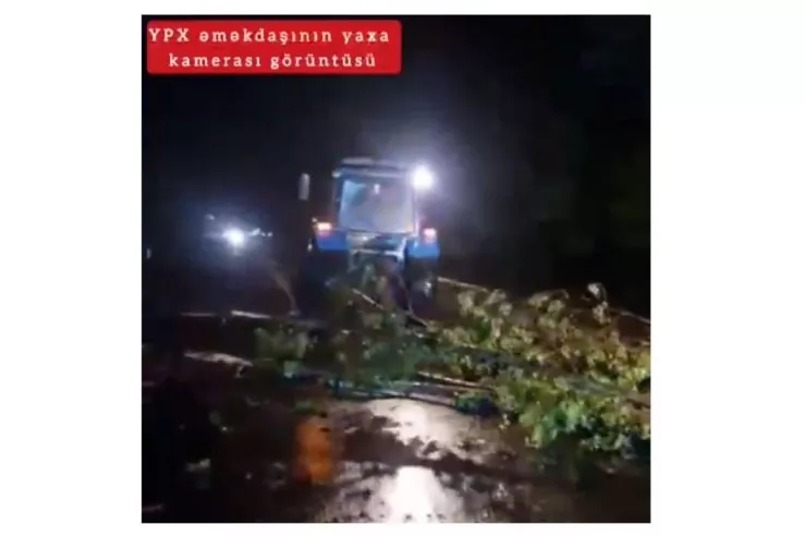 Güclü külək ağacı yola aşırdı - VİDEO 
