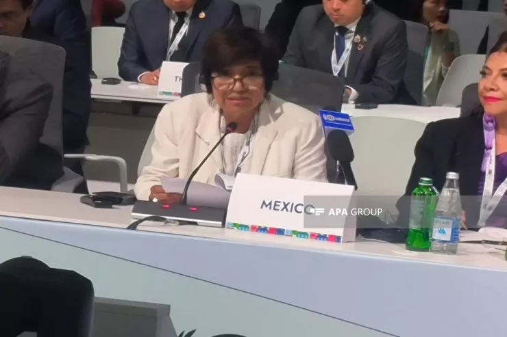 Meksika nümayəndəsi: WUF13-ü yüksək səviyyədə təşkil etdiyinə görə Azərbaycana təşəkkür edirik