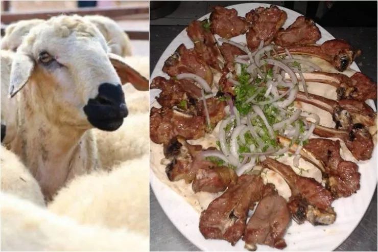 Qurban bayramında ən çox edilən səhvlər  - Sağlamlığınızı riskə atırsınız 