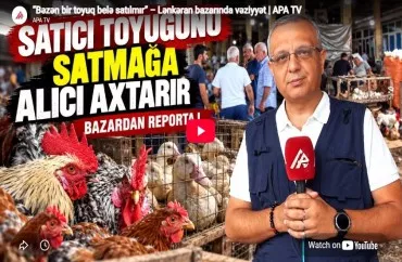 “Bəzən bir toyuq belə satılmır” – Lənkəran bazarında vəziyyət-VİDEO