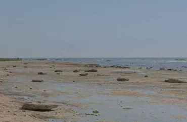 Xəzərdə suyun kəskin azalması yalnız ekoloji deyil, həm də iqtisadi və strateji problemdir - TƏHLİL